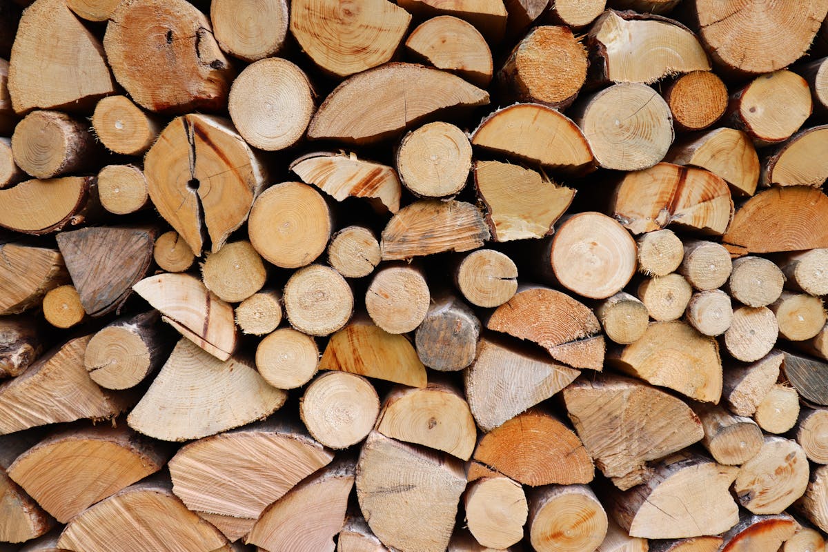 Bois de chauffage à Nice - Fabrice Elagage